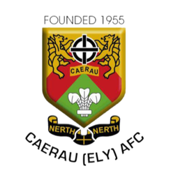 卡尔路伊利队徽