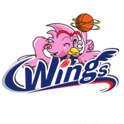 爱信飞翼女篮队徽