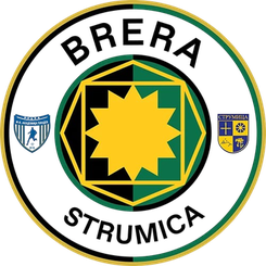 潘多夫学院队徽