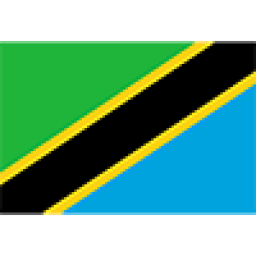 坦桑尼亚女足U17队徽