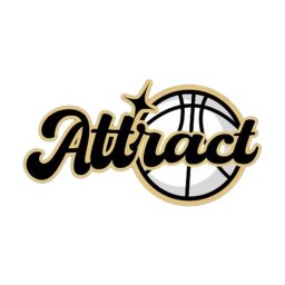 武汉引力空间队徽